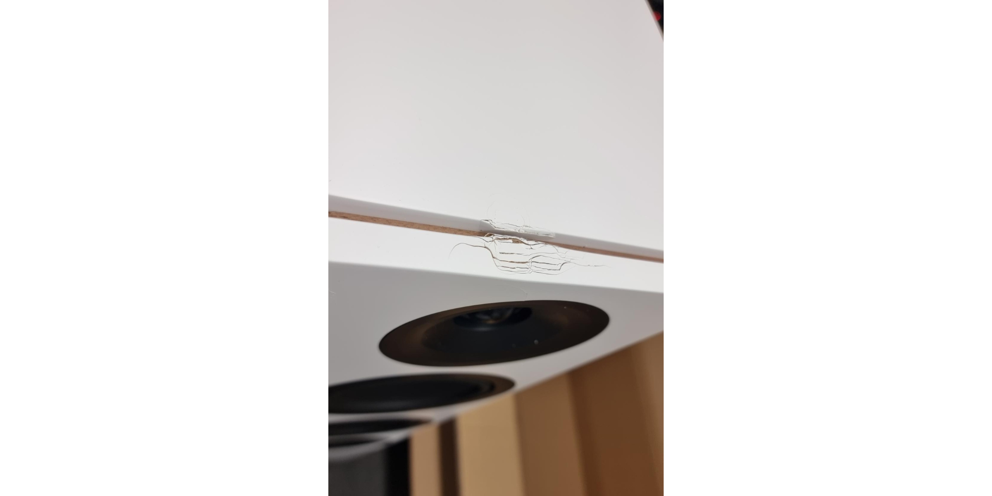 Legend 40.2 silverback DS wireless speakers C-Stock - Image 2